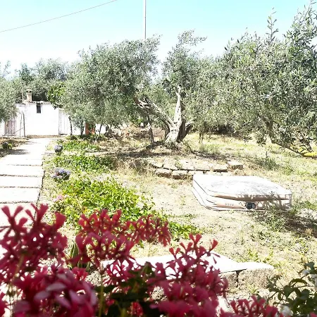 Holiday home Con Oliveto Cfg Prizzi